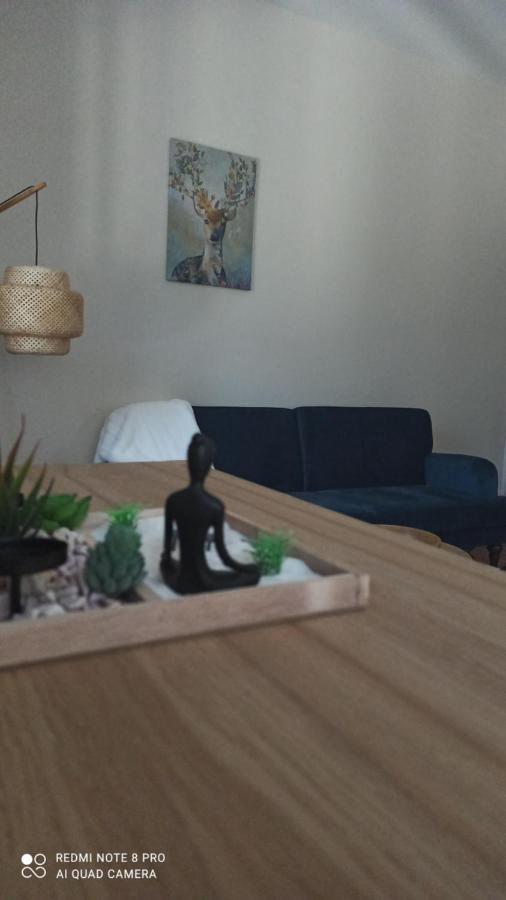 La Villa Francois Premier 拉布尔布勒 外观 照片